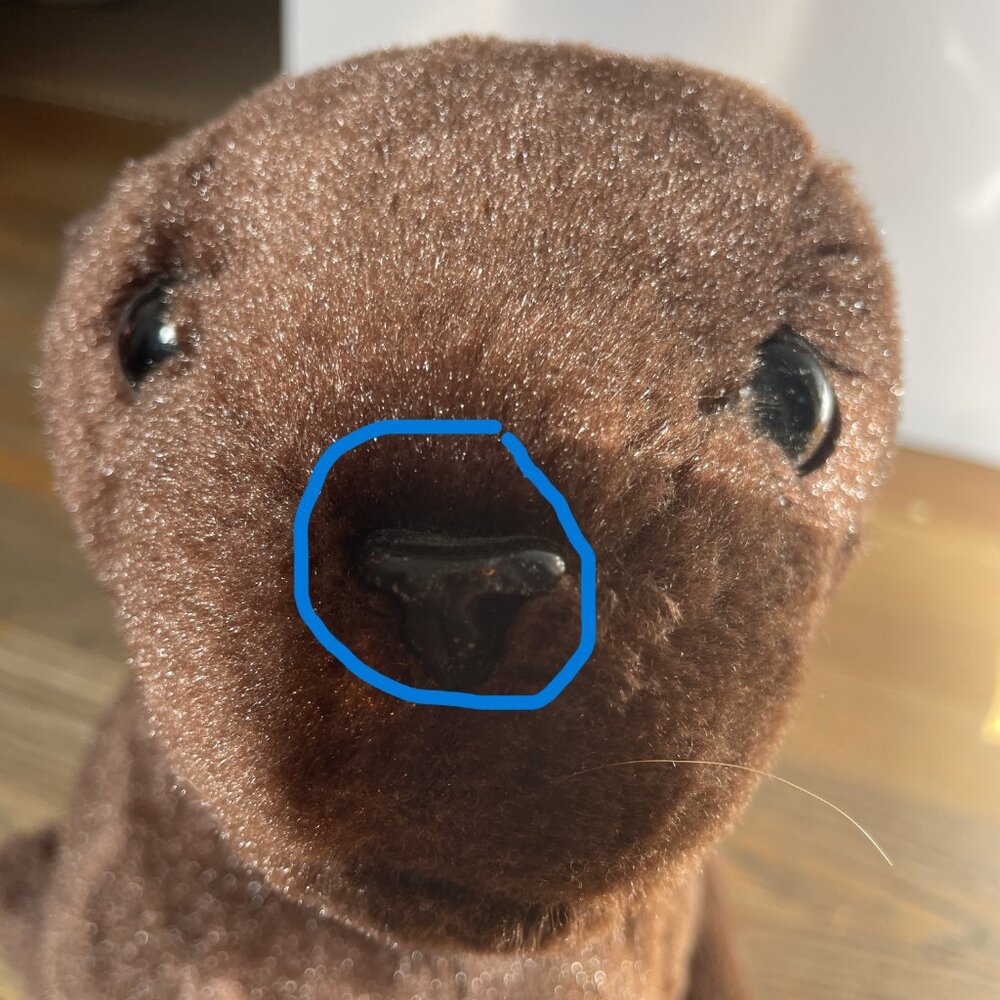 Aurora World Destination Nation Seal Stuffed Animal 12" Plush from Sea World - Picture 6 of 7